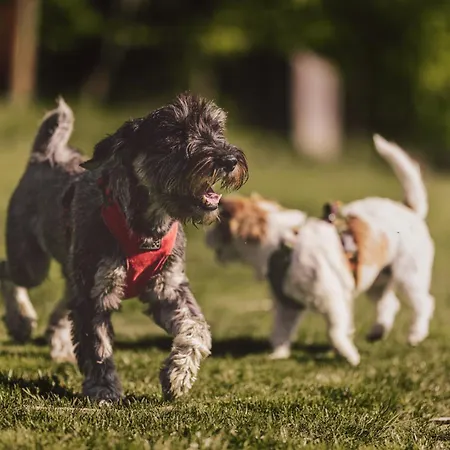 Na Stecowce シャレー イステブナ