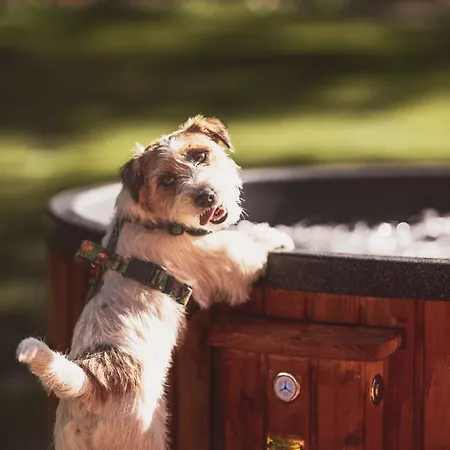 Na Stecowce Chalet *