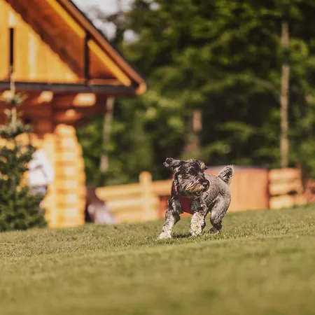 Na Stecowce Chalet Istebna