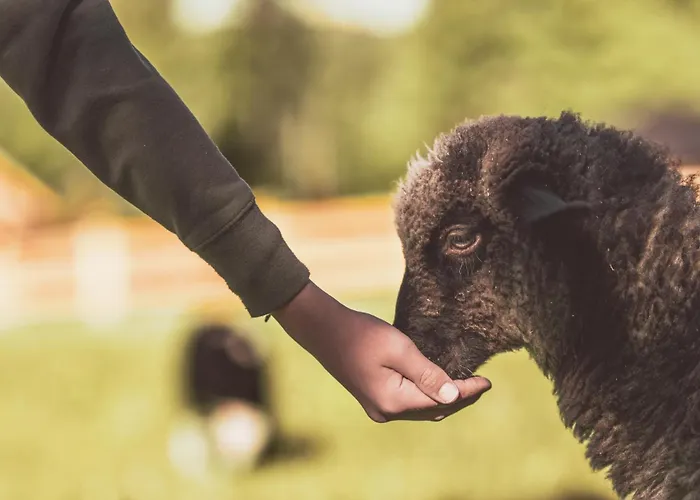 Σαλέ Na Stecowce