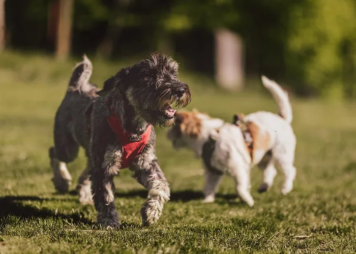 Na Stecowce Σαλέ Istebna