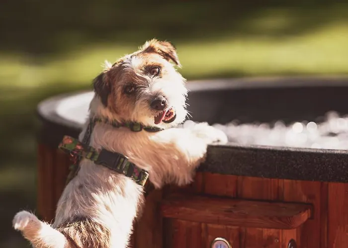 Na Stecowce Σαλέ *