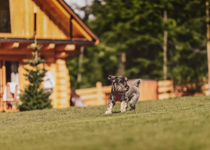 Na Stecowce בקתה איסטבנה