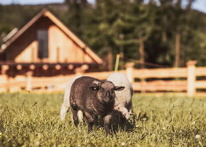 בקתה Na Stecowce